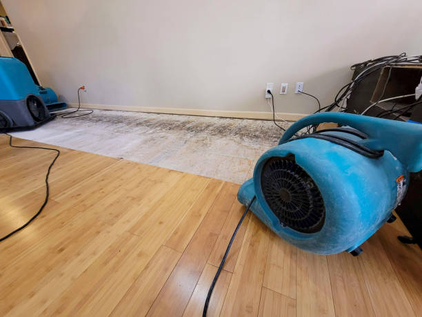 Professional Basement Flood Cleanup technician working in North Georgetown, OH
